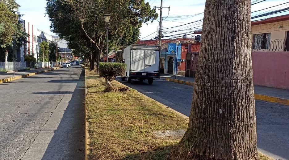 “Juntos por una Ciudad Más Limpia”: Dirección de Imagen Urbana Refuerza Acciones de Mantenimiento y limpieza de Teziutlán